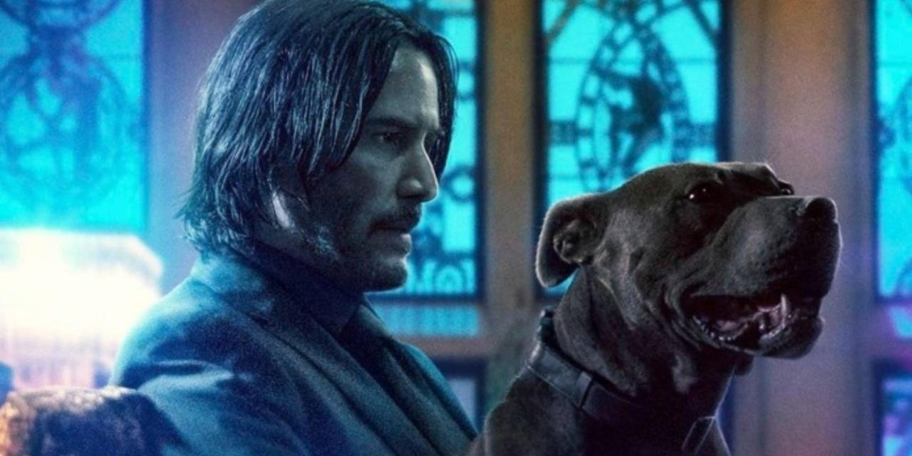 John Wick 5 é Confirmado Pela Lionsgate O Megascópio 7167