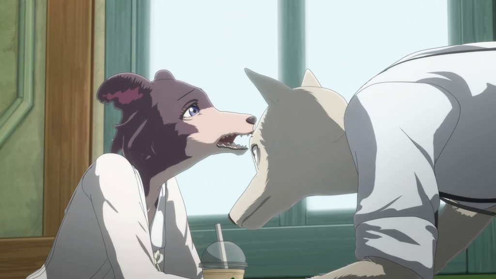 legoshi olhando os dentes de juno no episódio 18 de beastars