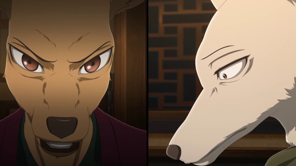 legoshi e louis na mesa dos shishigumi no episódio 21 de beastars